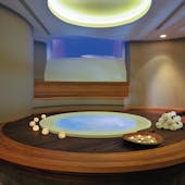 Alimia Pro: спа-бассейн круглой формы для пар и небольших семей